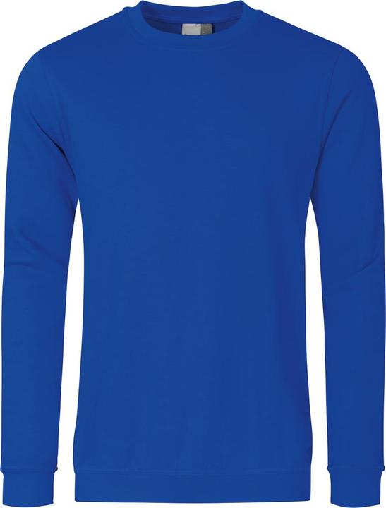 Actual product image Promodoro Men's Sweatshirt 80/20 Size M royal (M)