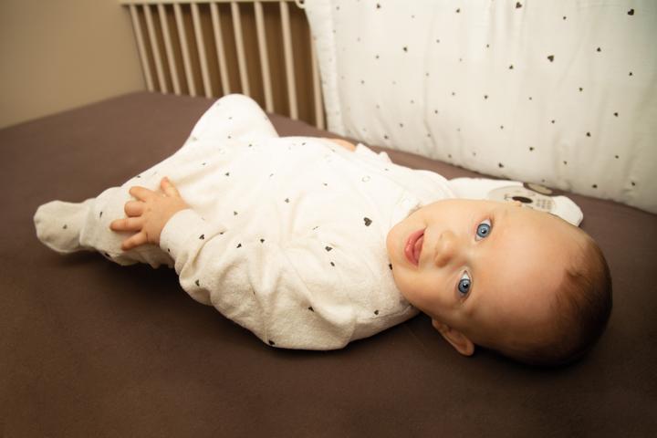 Actual product image Zewi Nestchen