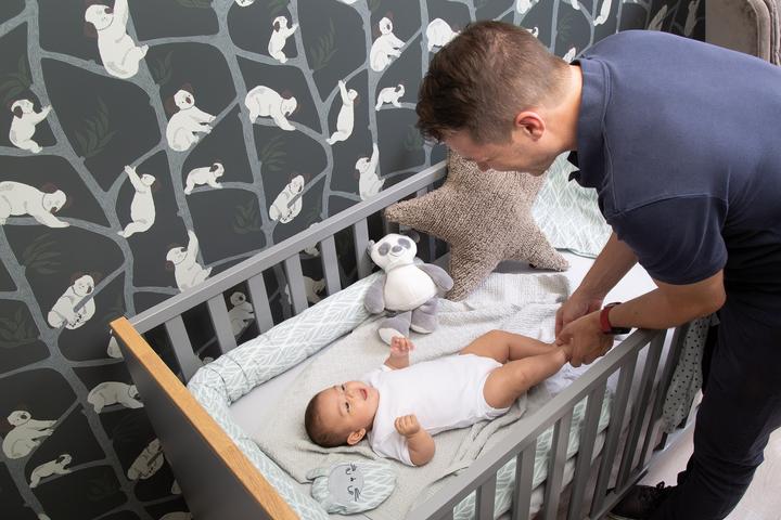 Immagine prodotto Zewi Cuscino per semi d'uva