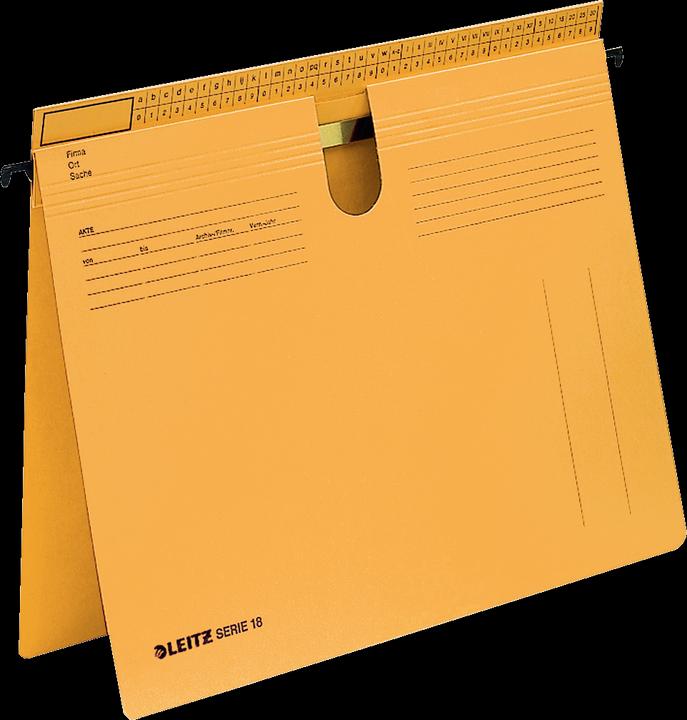 Actual product image Leitz Hanging file series 18 (A4, 1 x)