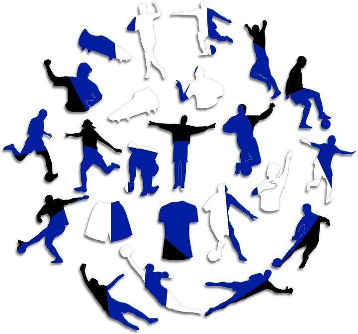 Image du produit Iconic FC Inter Milan - Logo - Puzzle en bois Taille M (270 pièces) (270 pièces)