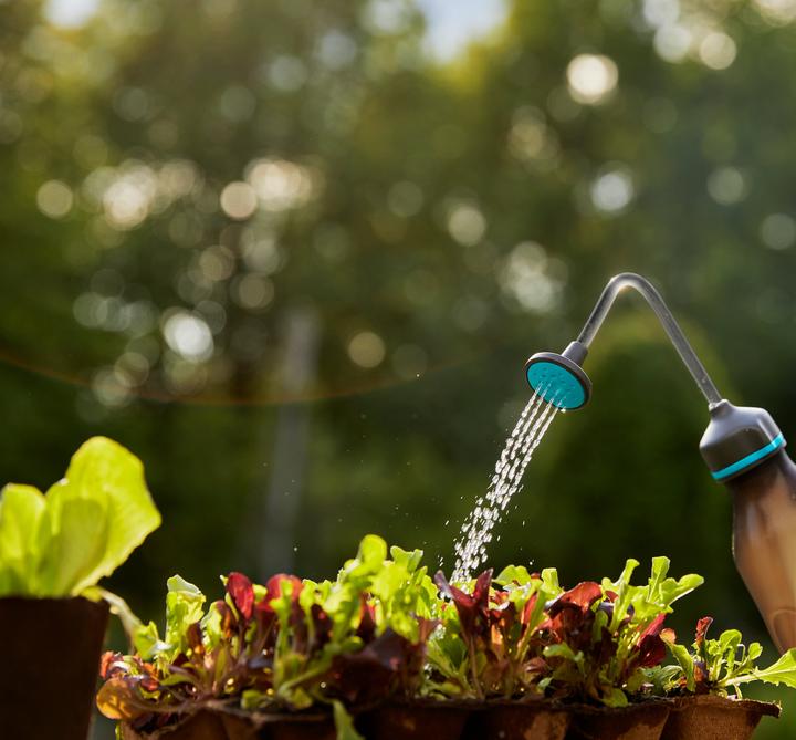 Immagine prodotto Gardena Spruzzatore morbido (0.45 l)