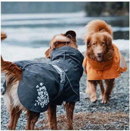 Actual product image Hurtta Monsoon raincoat dark grey (35, XS, Dog raincoat)
