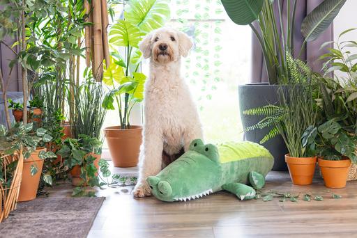 Produktbild Beeztees Hundespielzeug Krokodil