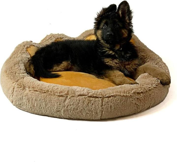 Image du produit Go Gift GoGift Chameau Patte Impression Lit XL 75 x 75 cm (Chat, Chien)