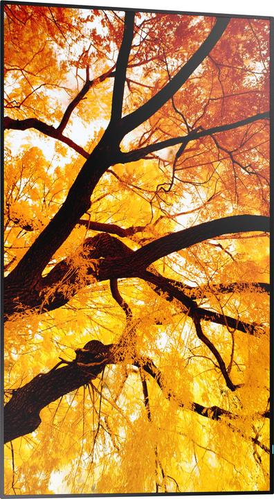 Produktbild NEC Sharp Large Format Display M552 (3840 x 2160 Pixel, 55")