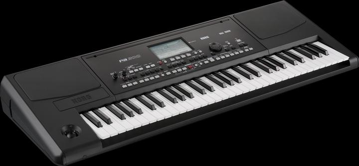 Image du produit Korg Clavier PA300 noir avec adaptateur secteur (61 Boutons)