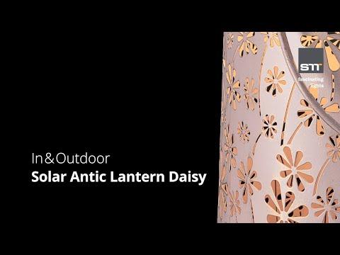 Produktbild STT Antic Daisy