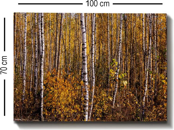 Produktbild Wallxpert Anais (70 x 100 cm)