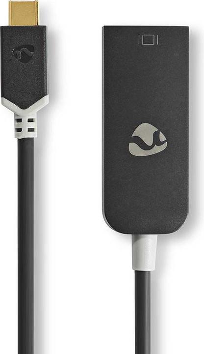 Actual product image Nedis USB Adapter USB 3.2 Gen 1 USB-CT Male DisplayPort Female 0.20 m Round Gold Plated PVC Anthraci (USB-C, 20 cm)