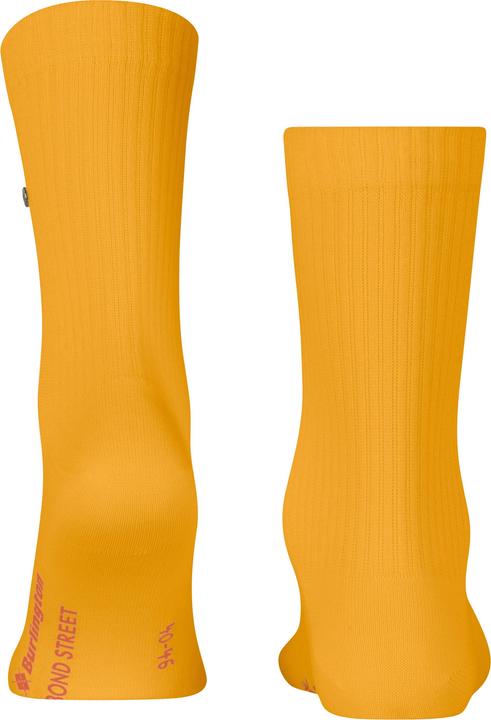 Immagine prodotto Burlington Bond Street SO (40 - 46)