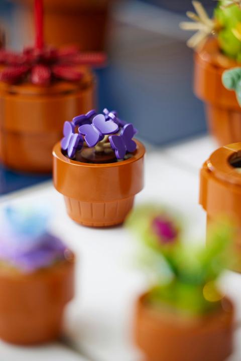 Immagine prodotto LEGO Mini piante (10329, LEGO Botanical, LEGO Icons)