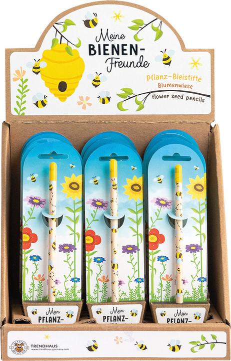 Actual product image Sombo Plant pencil (2 mm, HB)