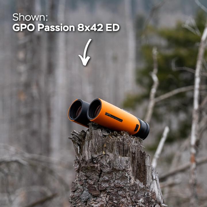 Image du produit GPO Passion 10x32ED Verrekijker Oranje