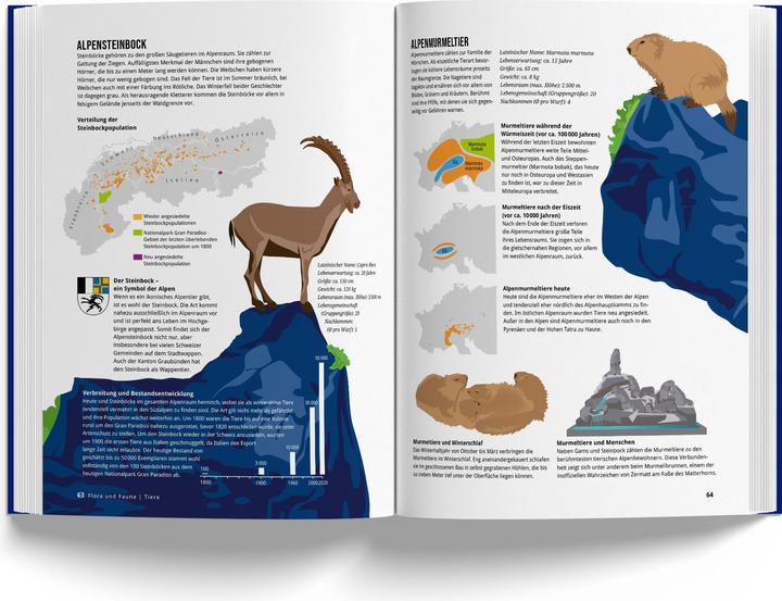 Actual product image The Alpine Book