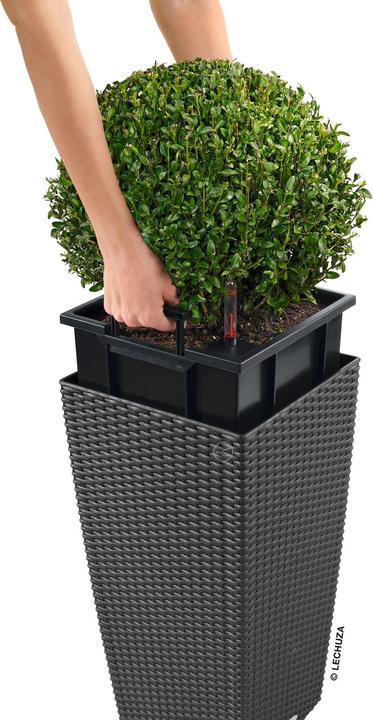 Produktbild Lechuza Cubico Cottage (29.50 cm)