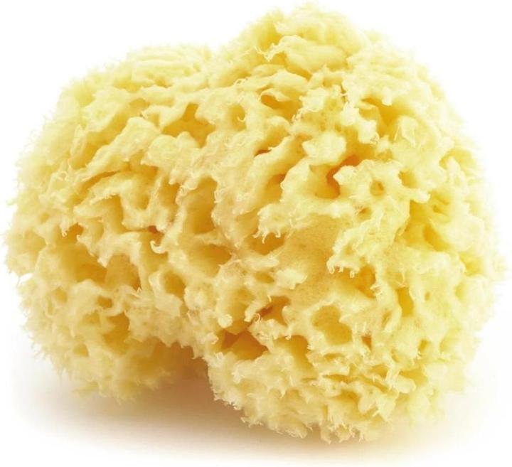Image du produit Herba Éponge naturelle