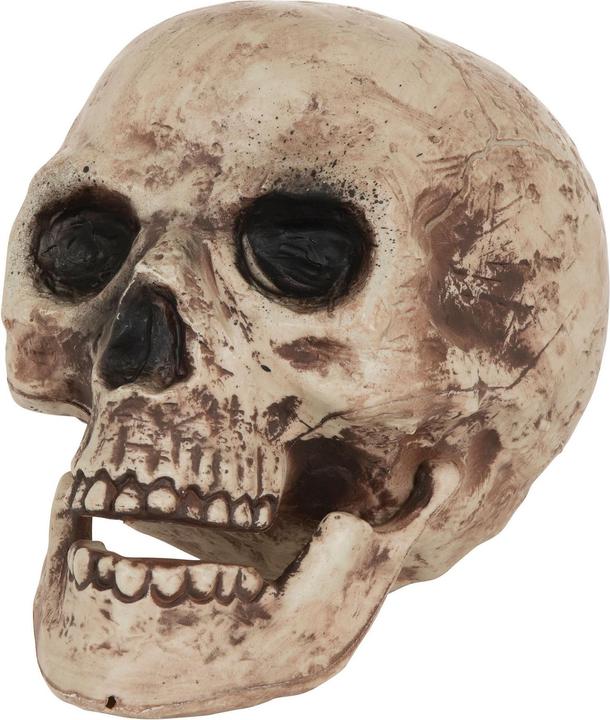 Actual product image Bristol Novelty UTBN1179 P