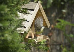 Produktbild Windhager Vogelfuttersilo Villa