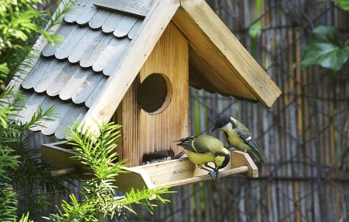 Produktbild Windhager Vogelfuttersilo Villa