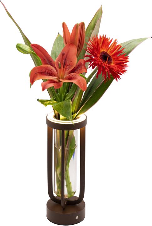 Actual product image Securit FLORENCE table lamp (50 lm)