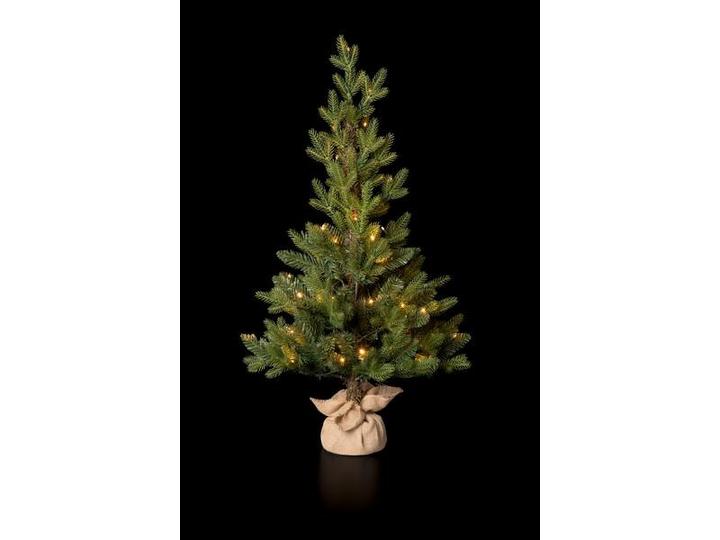 Immagine prodotto STT Albero nordico