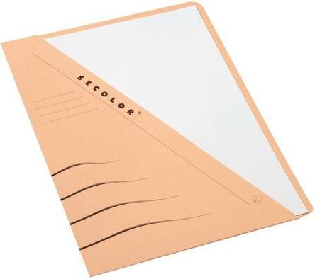 Produktbild Tarifold Dokumentenmappe Djois Secolor DIN A4 Karton 220.0 mm x 310.0 mm Chamois (A4, 1 x)