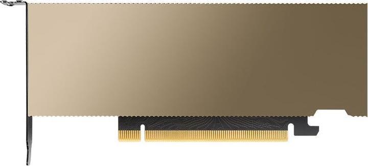 PNY Nvidia L4 Module 24GB 1X LP (24 GB)