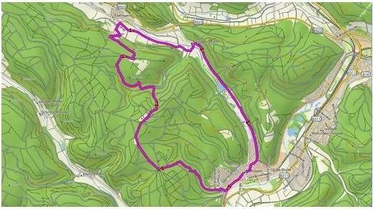 Immagine prodotto Garmin Topo Germany V9 Pro