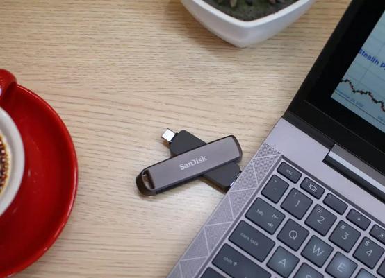 Immagine prodotto SanDisk Extreme PRO Dual Drive (1000 GB, USB 3.2 Gen 2)