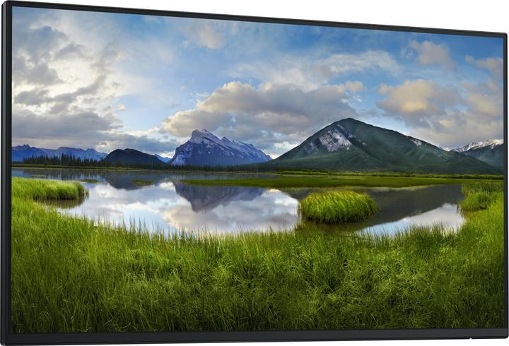 Dell P2425HWO (1920 x 1080 Pixel, 24")