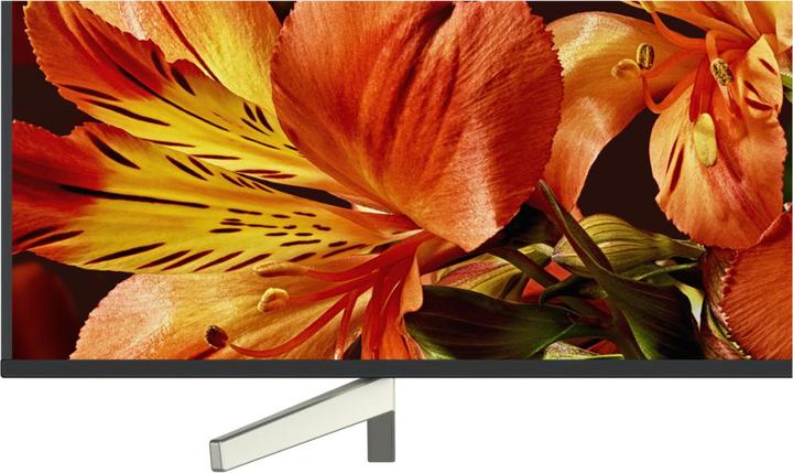 Immagine prodotto Sony Kd-49xf8505 (49", LCD, 4K, 2018)
