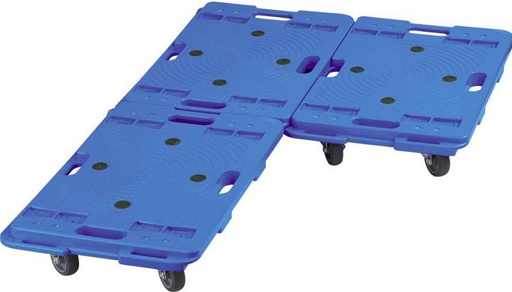 Actual product image Viso Transport roller plastic (150 kg)