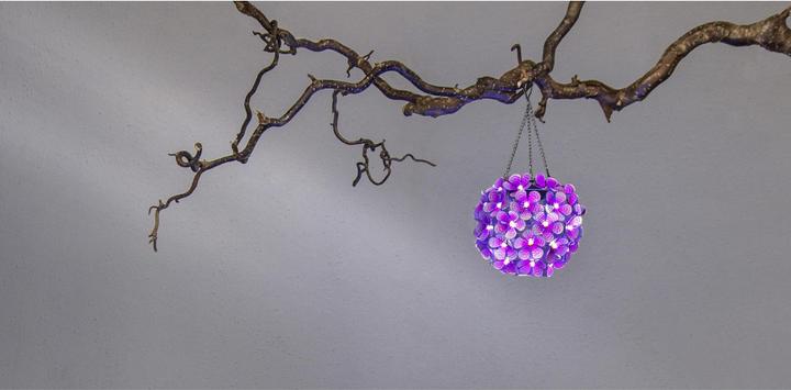 Image du produit Star Trading Hortensia (IP44)