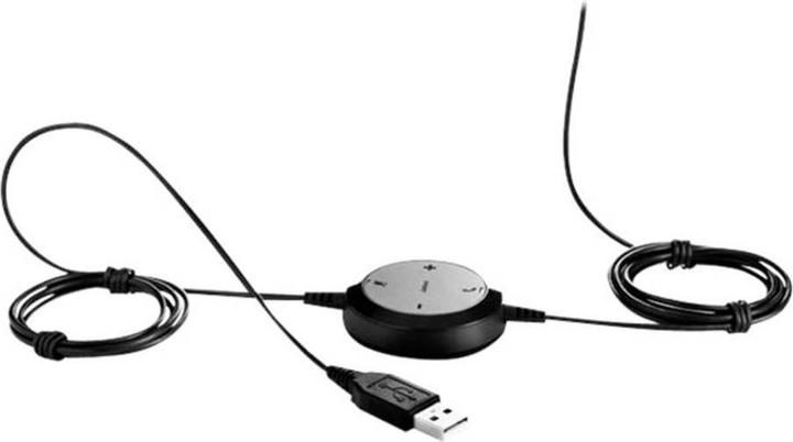 Image du produit Jabra Evolve 20 MS Stereo (Filaire, USB-A)