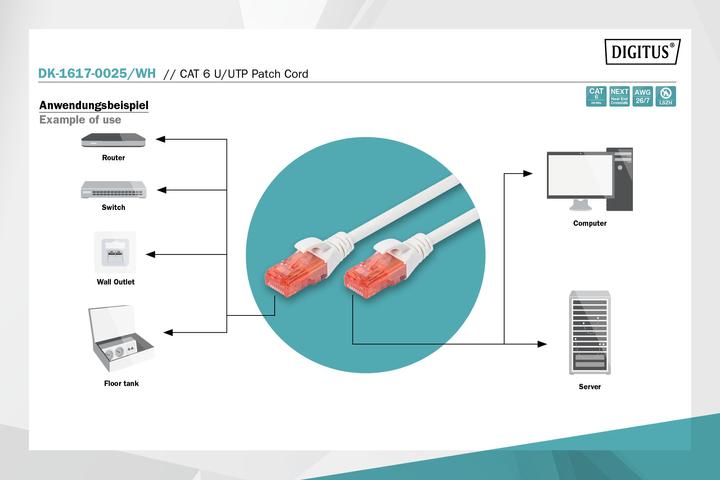 Actual product image Digitus Network cable (UTP, CAT6, 0.25 m)