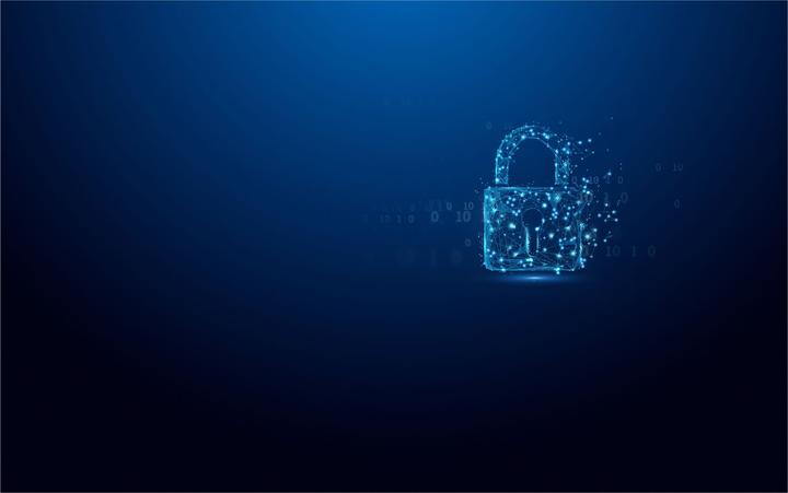 Actual product image Kingston IronKey Vault Privacy 50 (128 GB, USB-A, USB 3.2)