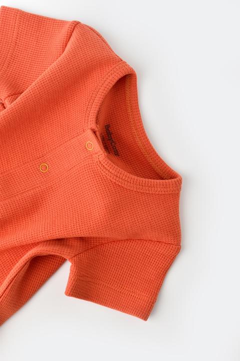 Produktbild BabyCosy Strampler kurze. kurzarm (80)