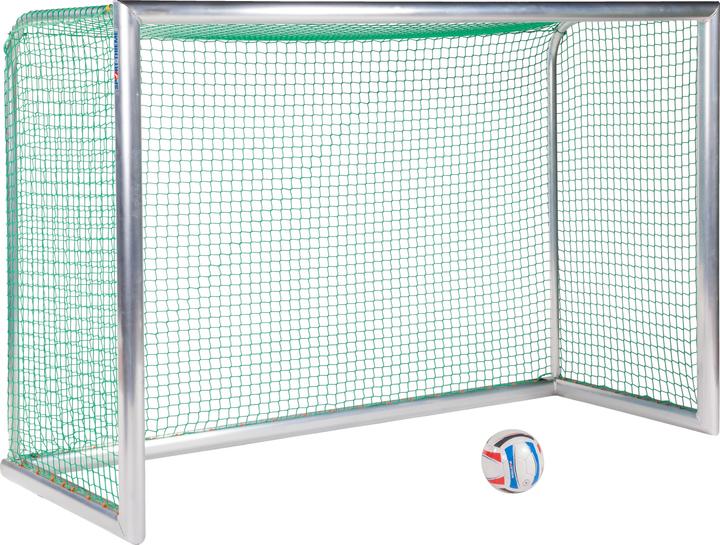 Sport-Thieme Mini-Trainingstor Professional