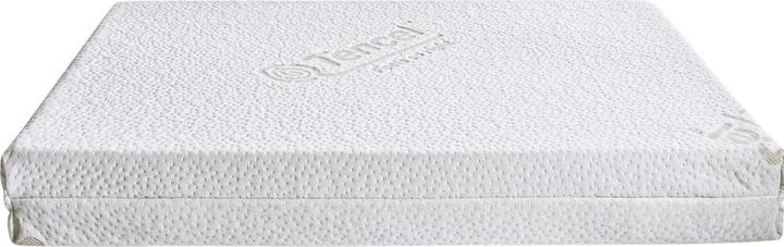 Actual product image Laboni Matelas Ortho Mattress L (Dog)
