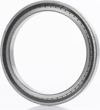 Immagine prodotto Cuscinetto a rulli cilindrici SL185006 Ø interno 30 mm Ø esterno 55 mm Larghezza34 mm