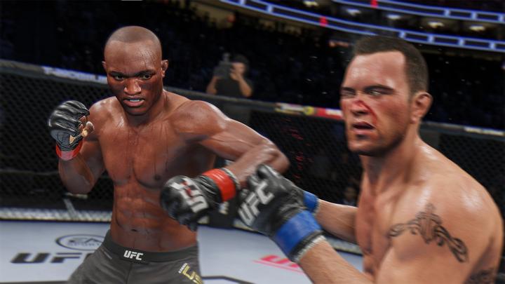 Image du produit EA Games UFC 4 1055615 PlayStation 4 (PS4, EN)