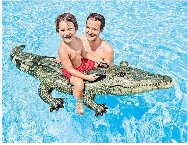 Image du produit Intex Gator réaliste