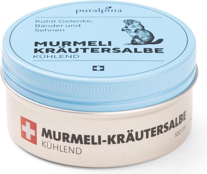 Produktbild Puralpina Murmeli-Kräutersalbe (1 x, 100 ml, 110 g)