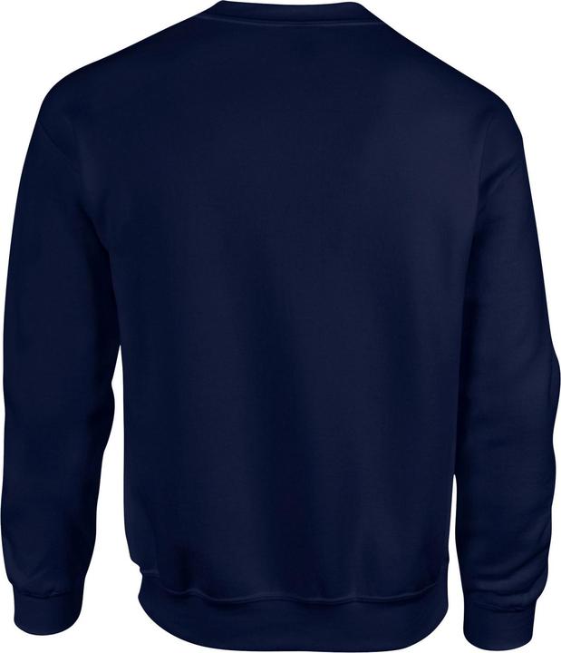 Image du produit Gildan - Sweat - Homme (M)