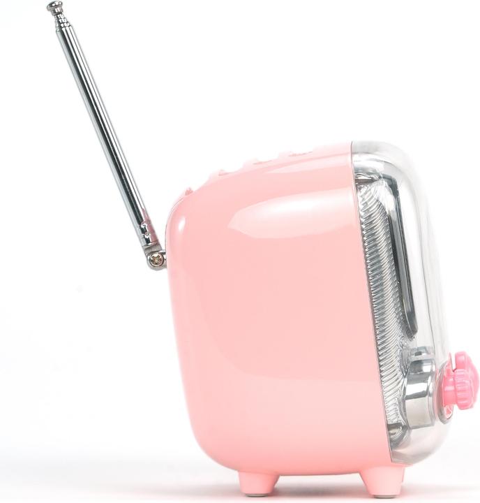 Immagine prodotto Divoom Tiivoo-2 pink
