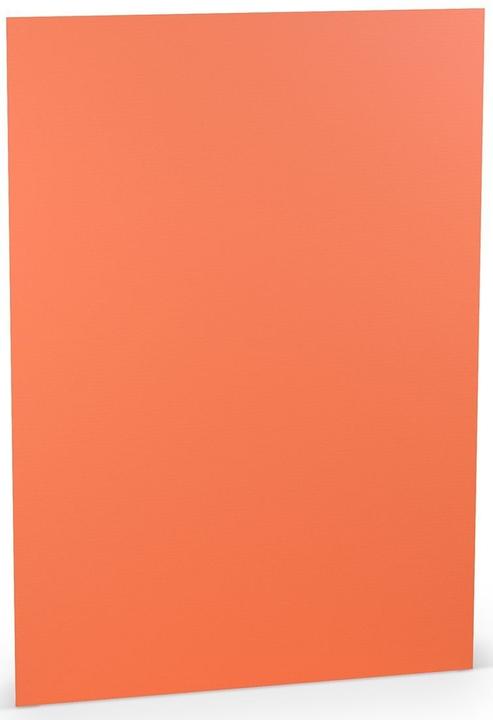 Produktbild Paperado Karton A4 220g/qm VE=5 Blatt Coral (220 g/m², 5 x)