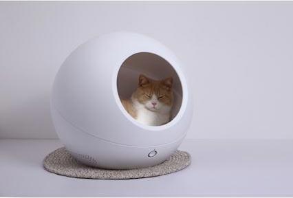 Actual product image Petkit Cozy 2.0 (Cat, Dog)
