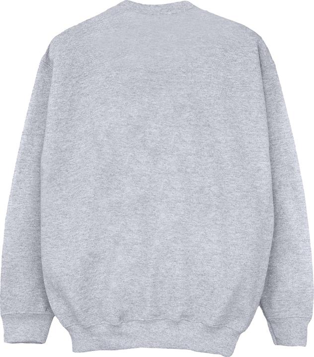 Image du produit - Sweat SLYTHERIN CREST - Garçon (128)
