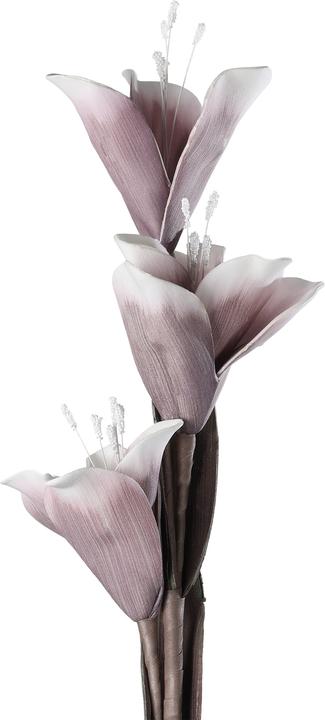 Actual product image EGLO LIVING Molave (85 cm)